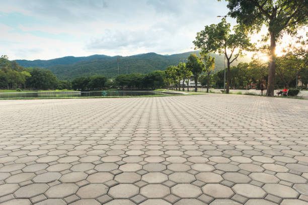 Best Commercial Driveway Pavers  in Willow Grove, TX