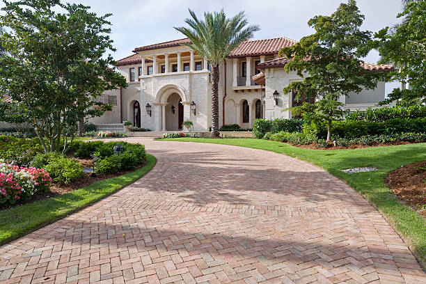 Best Best Driveway Pavers  in Willow Grove, TX