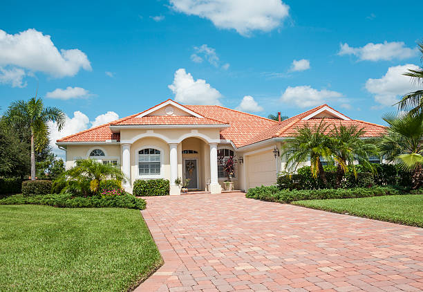 Best Local Driveway Pavers  in Willow Grove, TX