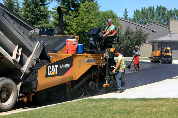 Best Driveway Pavers Near Me  in Willow Grove, TX